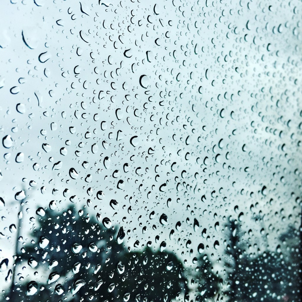 Some People Feel the Rain, Others Just Get&nbsp;Wet