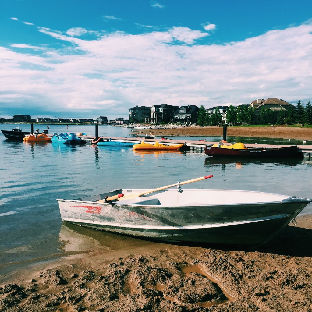 It’s Not Only The Scenery You Miss By Going Too&nbsp;Fast