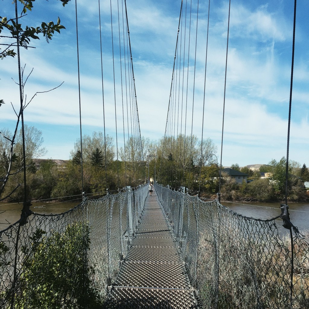 Build Bridges Not&nbsp;Walls