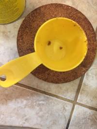 12380020_10207181409486291_1961458305_n