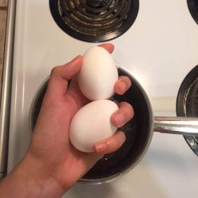 12431581_10207181409646295_1028458148_n