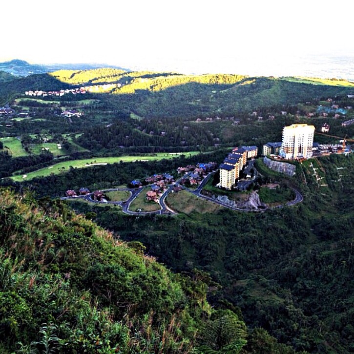 Green Green Grass of&nbsp;Home