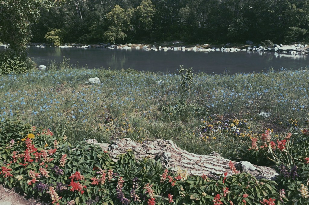 That-island-which-must-not-be-named